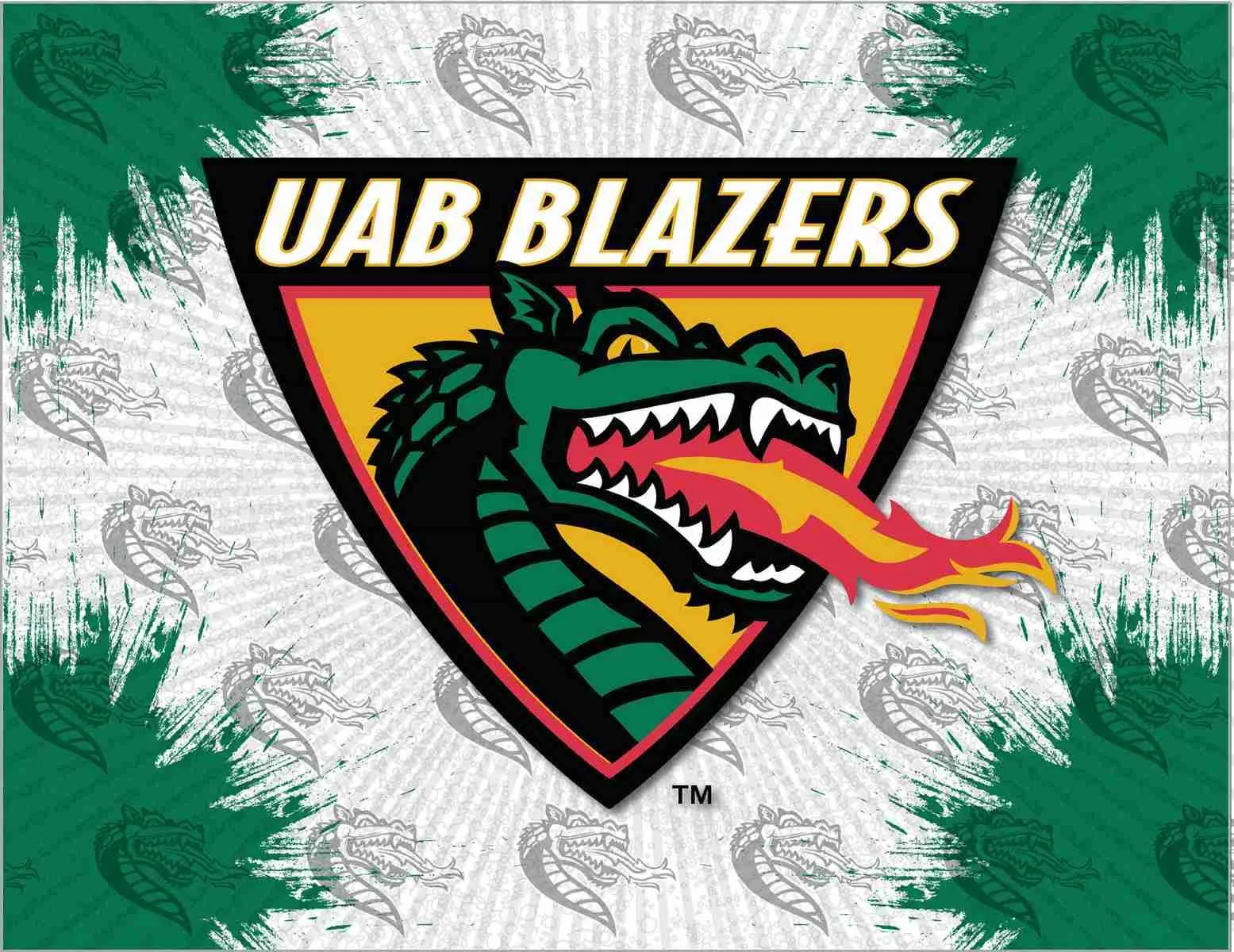 UAB Blazers HBS Gray Green Wall Canvas Art Picture Print